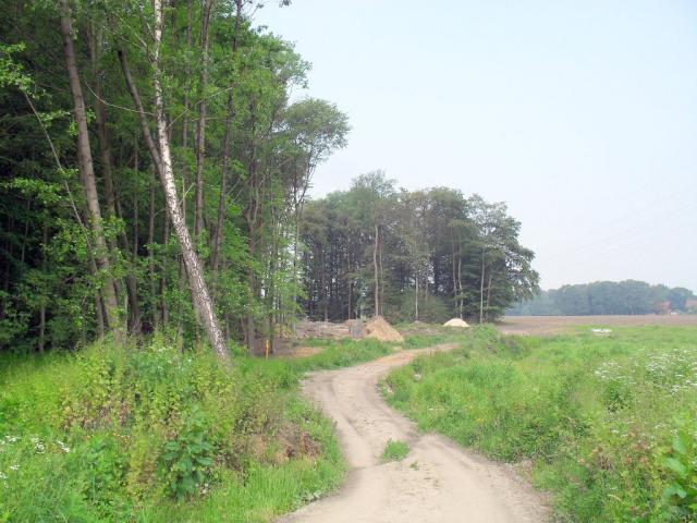 2011/05/post-16228-1305977161_thumb.jpg