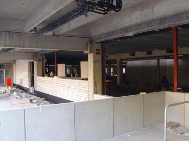 DSCI5320.JPG