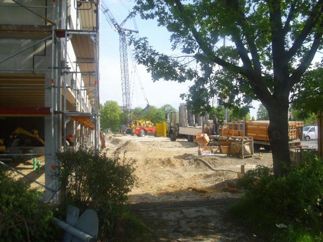 DSCI5331.JPG