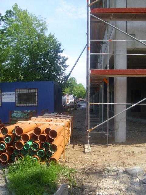 DSCI5332.JPG