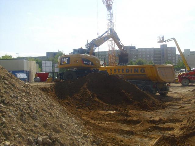 DSCI5333.JPG