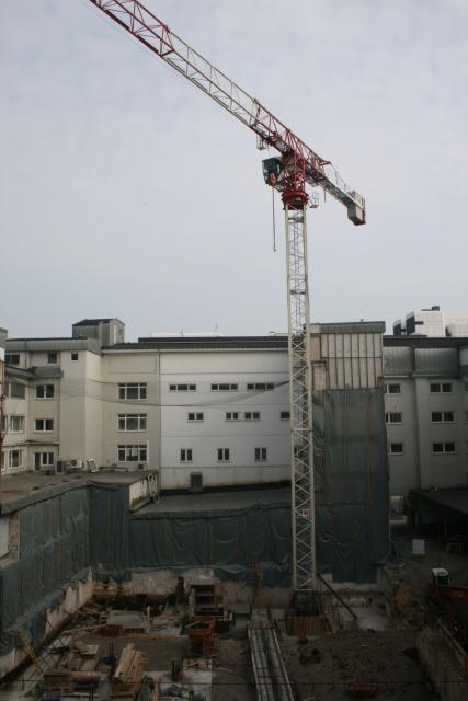 IMG_7345.JPG