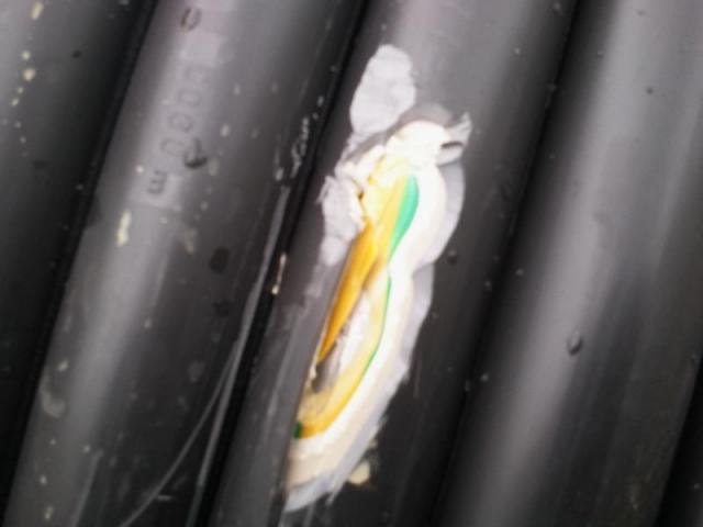 2011/05/post-619-1304878271_thumb.jpg