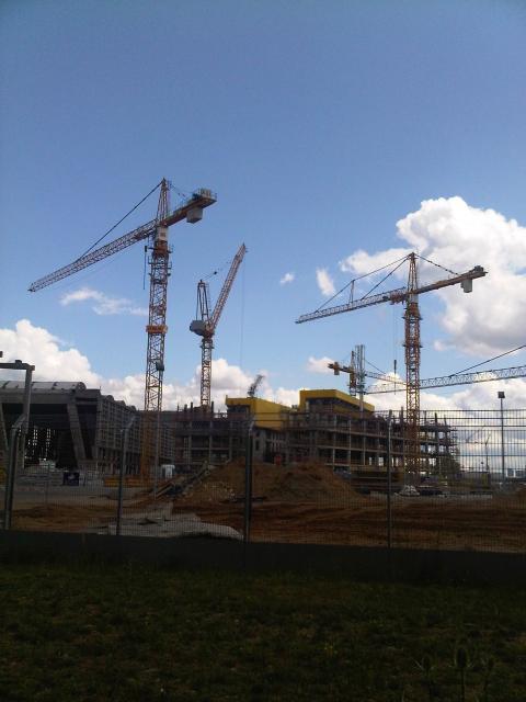 IMG00207_20110611_1250.jpg