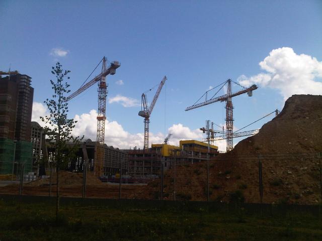 IMG00208_20110611_1251.jpg