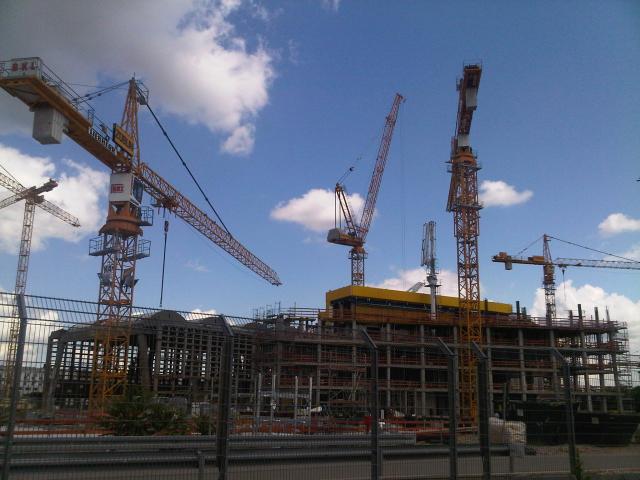 IMG00212_20110611_1253.jpg