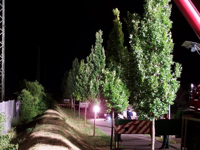 100_8953.jpg