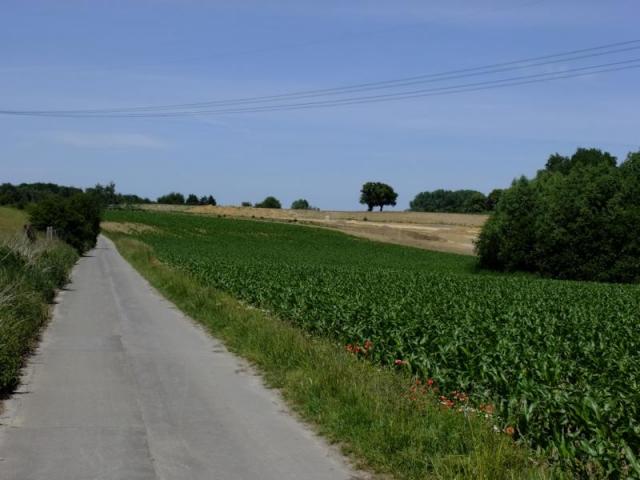 DSCF7661.JPG
