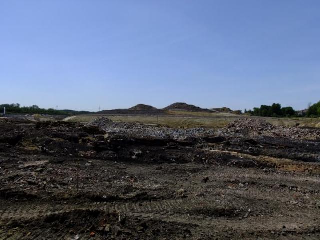 DSCF7710.JPG