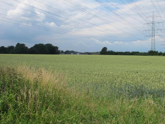 IMG_5412.JPG