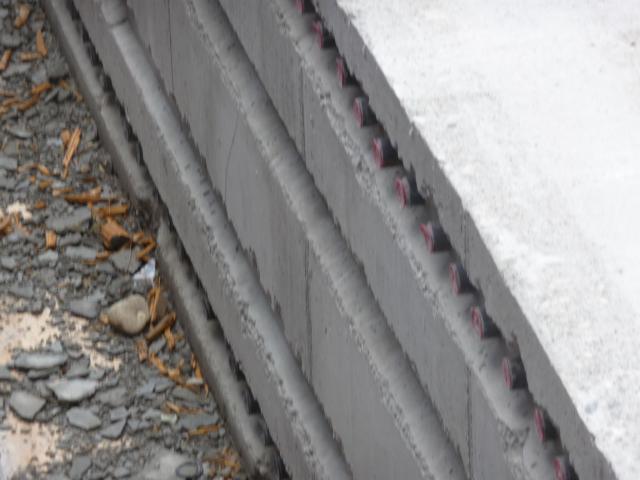 P1120044.JPG