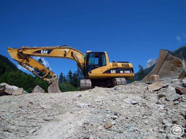 cat_320C_6.jpg