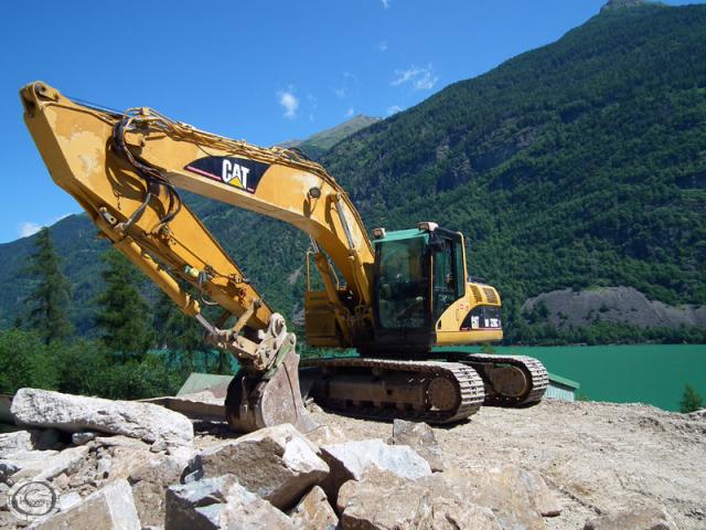 cat_320C_7.jpg