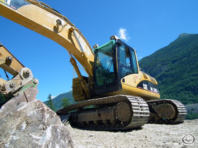 cat_320C_8.jpg