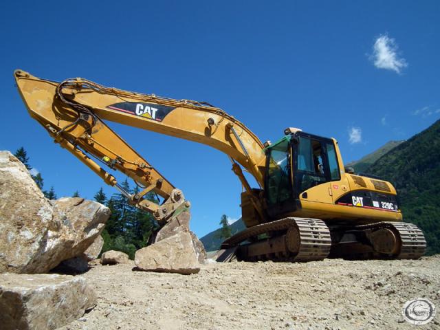 cat_320C_9.jpg