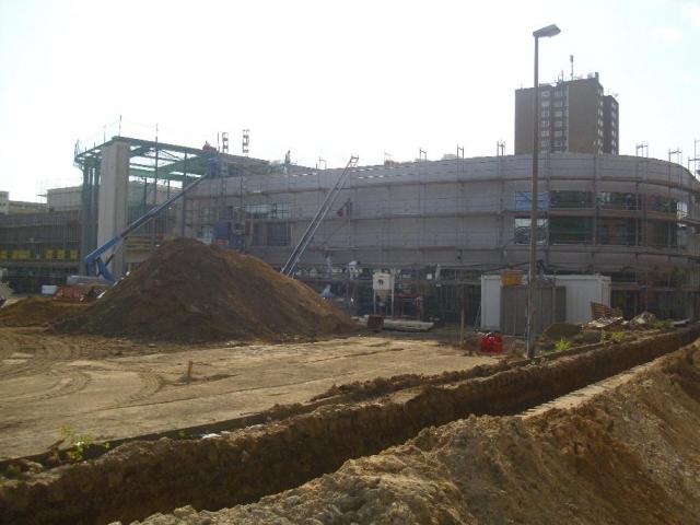 DSCI7695.JPG