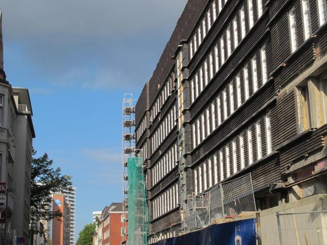 IMG_5964.JPG