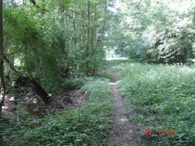 DSC05447.JPG