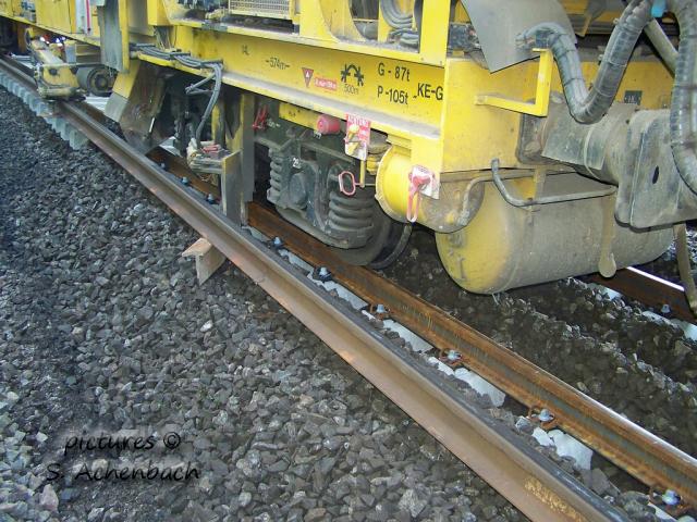 081.jpg