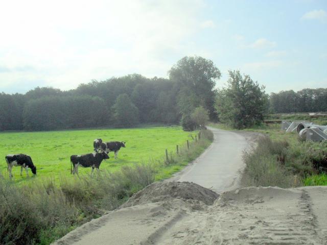 2011/08/post-16228-1314525242_thumb.jpg