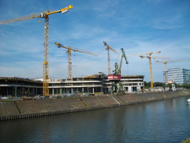 IMGP0349.JPG