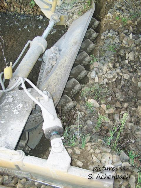 193.jpg