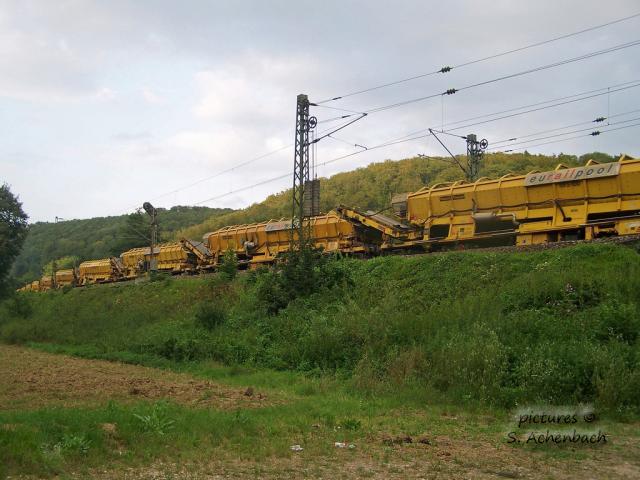 254.jpg