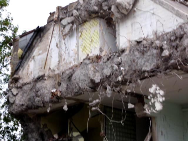 DSCI0386.JPG