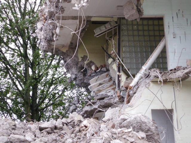 DSCI0394.JPG