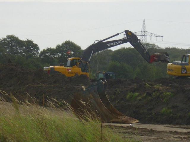 Schwarze_Heide_02.JPG