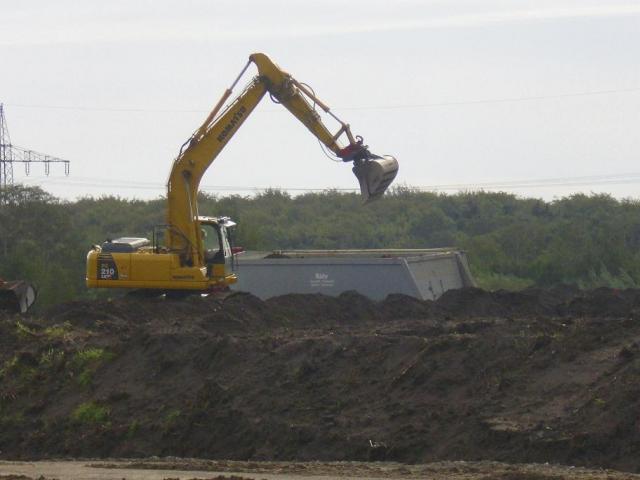 Schwarze_Heide_03.JPG