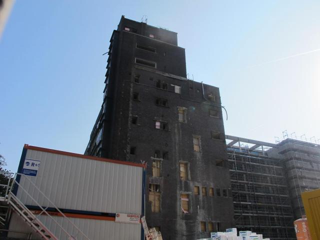 IMG_7515.JPG