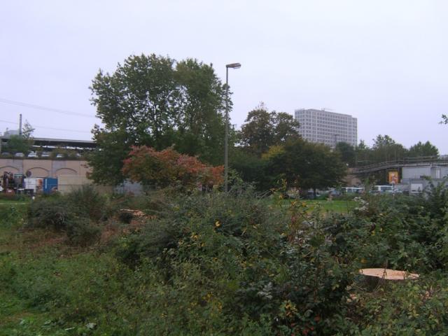 SA508357__1280x768_.JPG