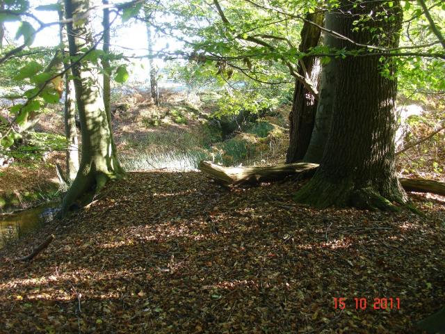 DSC06031.JPG
