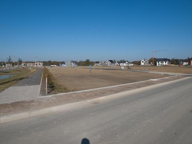 _A230237.jpg