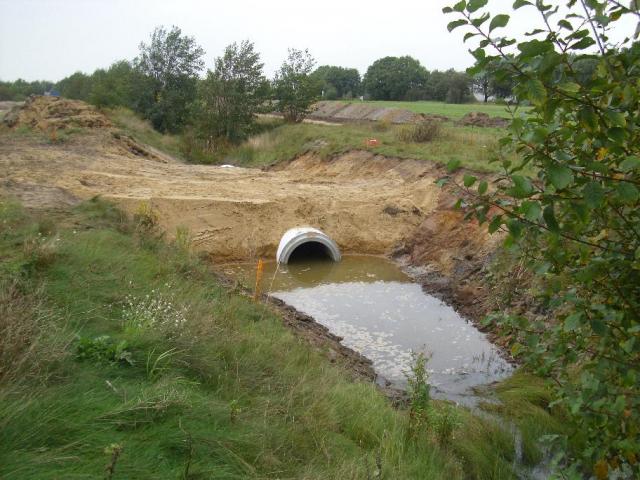 Schwarze_Heide_031.JPG