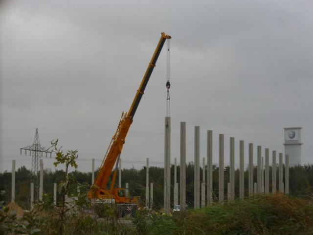 Schwarze_Heide_039.JPG