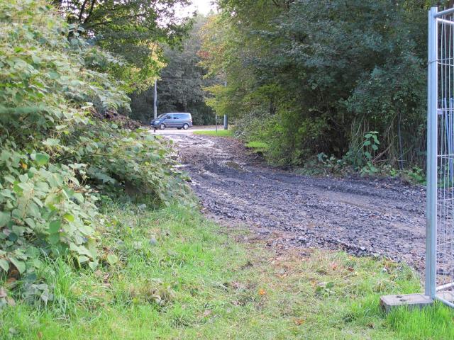 IMG_7703.JPG