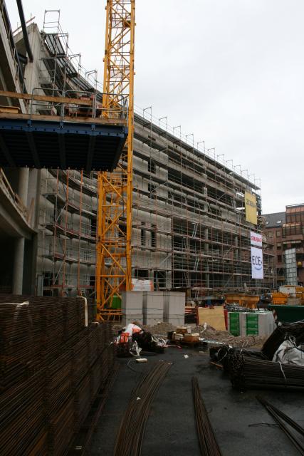 IMG_8651.JPG