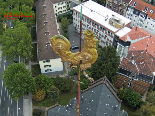 BILD1304.JPG