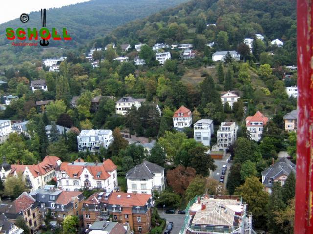 BILD1308.JPG