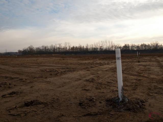 SR200006.JPG