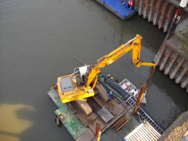 IMGP0806.JPG