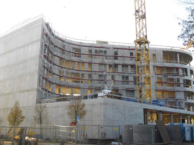IMGP0783.JPG