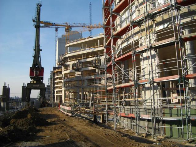 IMGP0784.JPG
