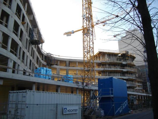 IMGP0786.JPG