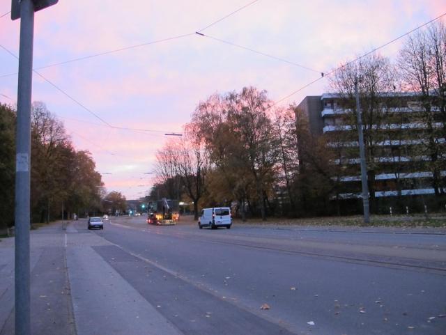 IMG_8713.JPG