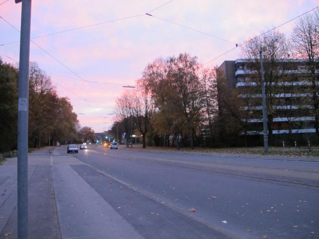 IMG_8714.JPG