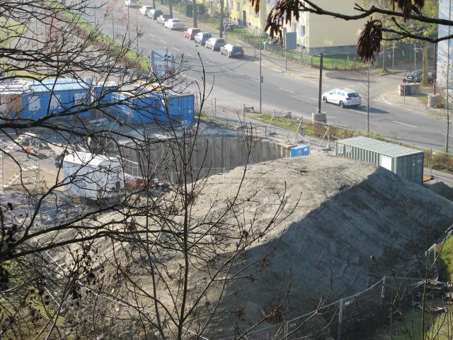 IMG_8875.JPG