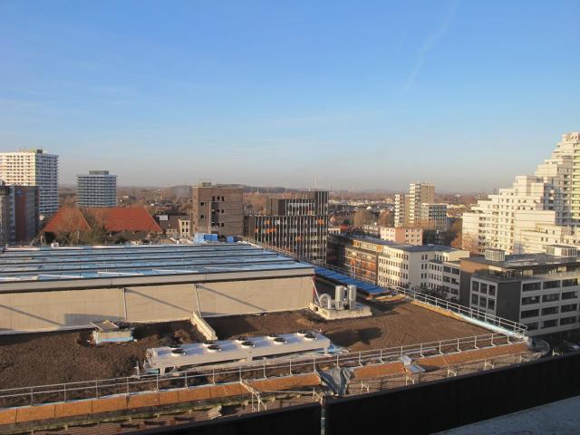 IMG_9542.JPG
